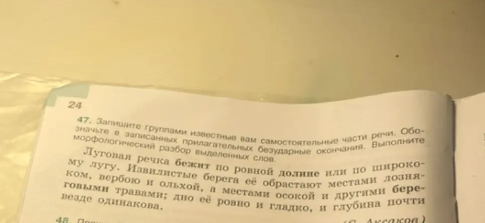 Выполни морфологический разбор выделенных прилагательных в тексте
