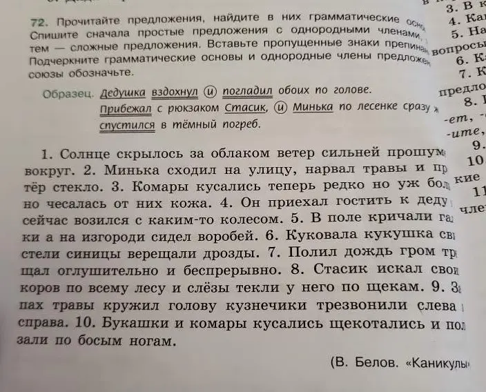 Ты просишь найти грамматические основы и однородные члены в предложениях.