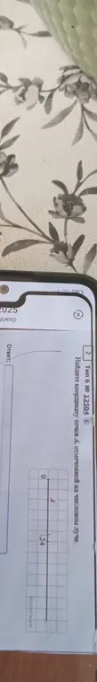 Найди координату точки А, отмеченной на числовом луче