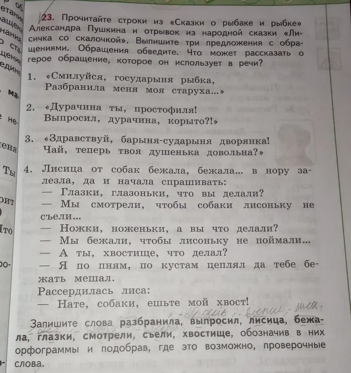 Выпиши три предложения с обращениями из текста. Обращения обведи.