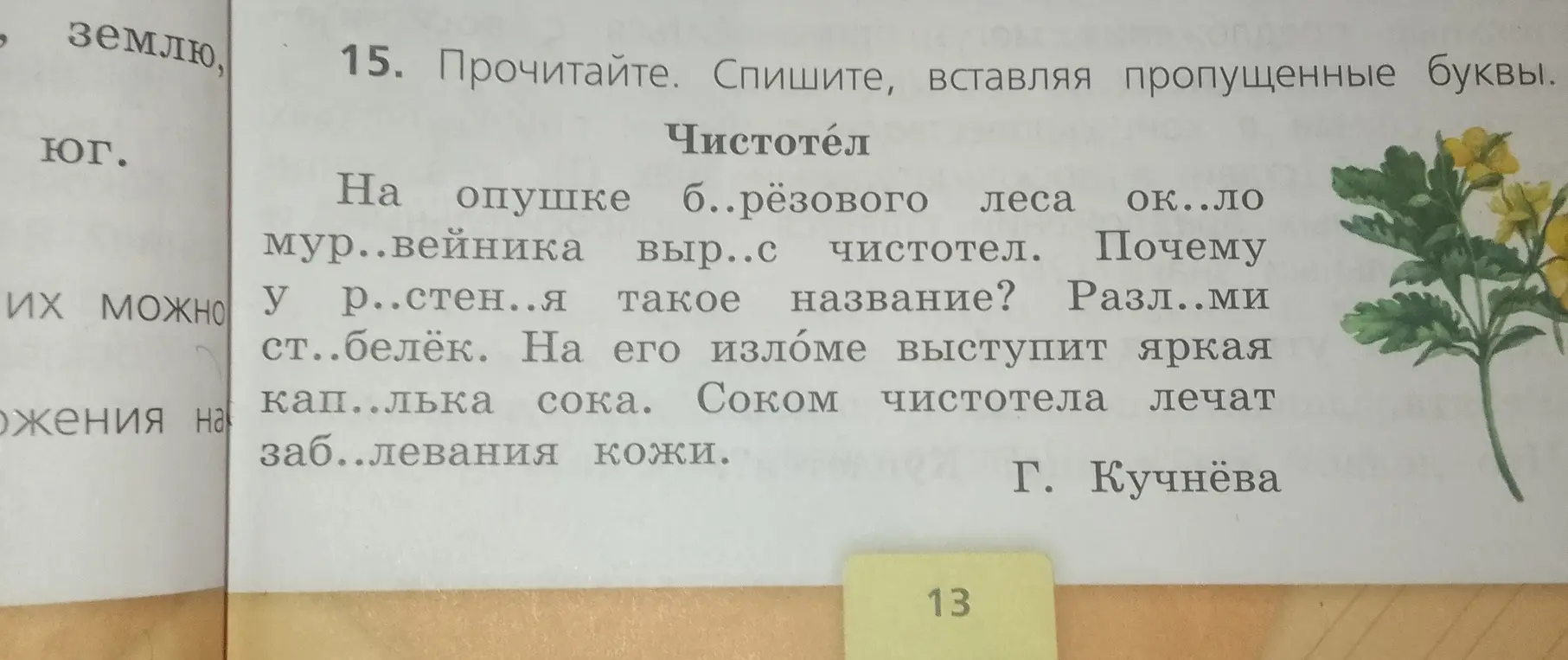 Вставь пропущенные буквы в тексте о чистотеле