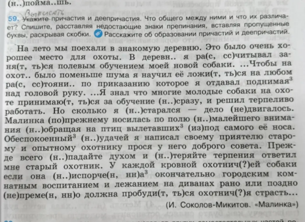 Укажи причастия и деепричастия. Что общего между ними и что их отличает?