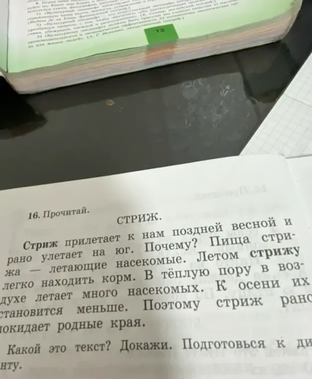 Какой тип текста 'Стриж прилетает к нам поздней весной и рано улетает на юг'?