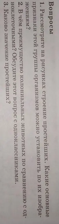 Рассмотри на рисунках строение простейших и определи основные признаки этой группы организмов.