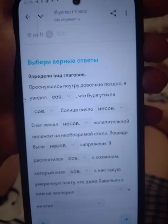 Определи вид глаголов в предложениях: «Проснувшись поутру довольно поздно, я увидел ..., что буря утихла»