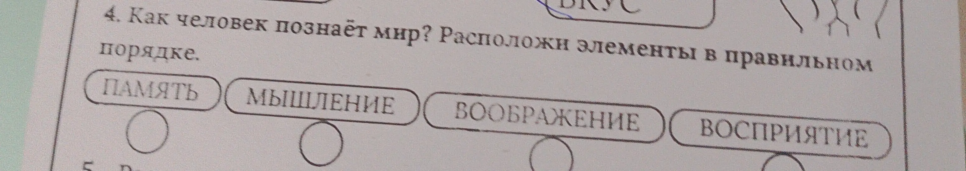 Объясни, в каком порядке человек познаёт мир, используя элементы: память, мышление, воображение, восприятие