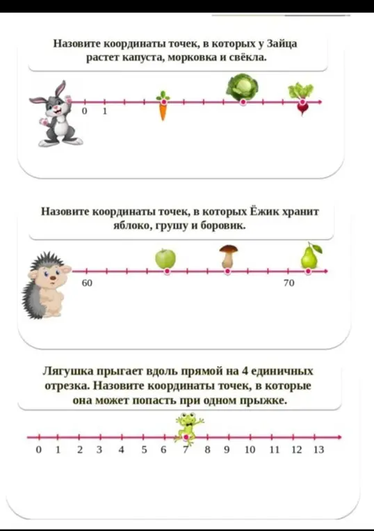 Назови координаты точек, в которых у Зайца растет капуста, морковка и свёкла.