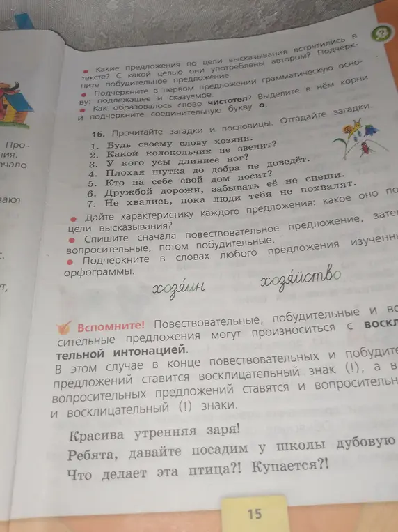 Ты просишь определить типы предложений в тексте, подчеркнуть грамматическую основу и объяснить образование слова 'чистотел'