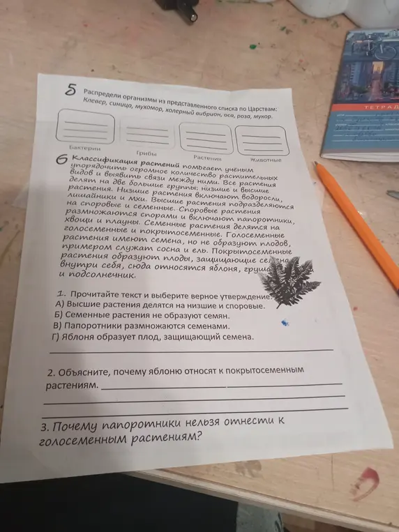 Предложи распределить организмы из представленного списка по Царствам: Клевер, синица, мухомор, холерный вибрион, оса, роза, мукор.