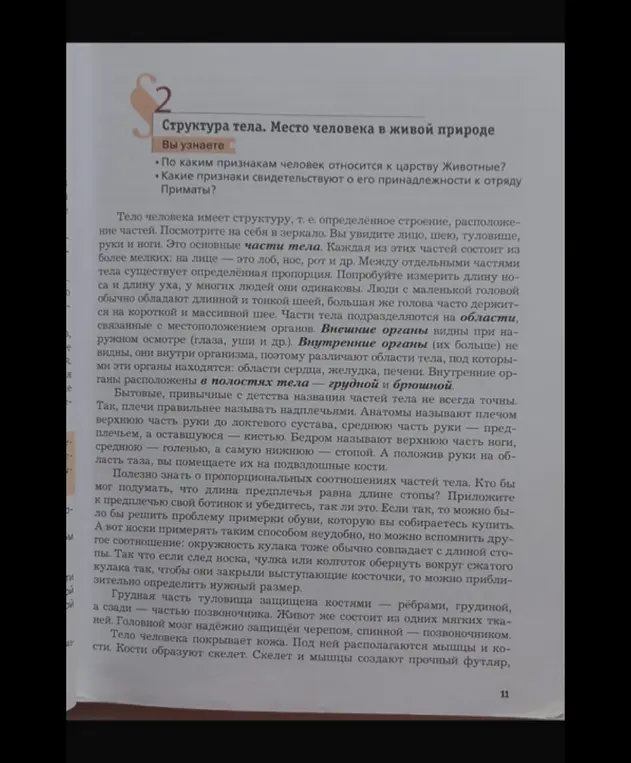 Расскажи про структуру тела человека