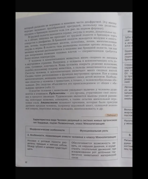 Опиши морфологические особенности человека, позволяющие отнести его к классу Млекопитающие