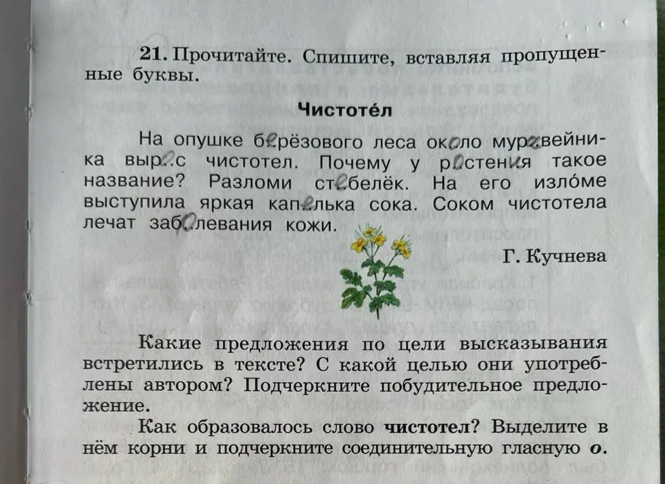 Помоги мне выполнить упражнение по русскому языку: вставь пропущенные буквы, определи виды предложений по цели высказывания и как образовалось слово чистотел.