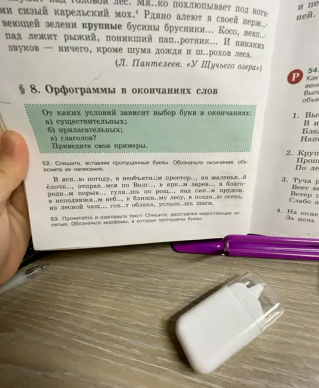 Ты просишь списать текст, вставляя пропущенные буквы и обозначая окончания.