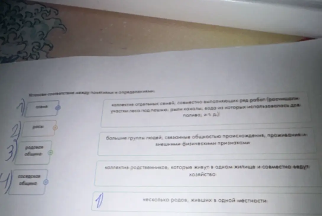 Предложи соответствие между понятиями и определениями: племя, расы, родовая община, соседская община.