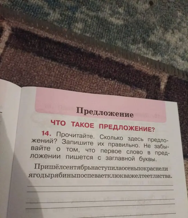 Помоги разбить текст на предложения и записать их правильно, не забывая про заглавные буквы в начале каждого предложения.