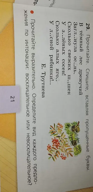 Выполни задание 29: вставь пропущенные буквы и определи вид каждого предложения по интонации.