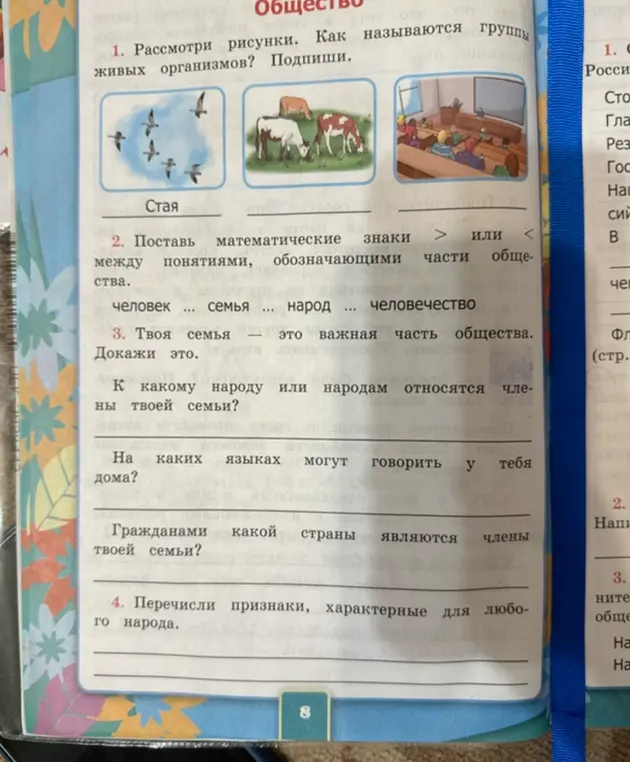 Рассмотри рисунки. Как называются группы живых организмов?