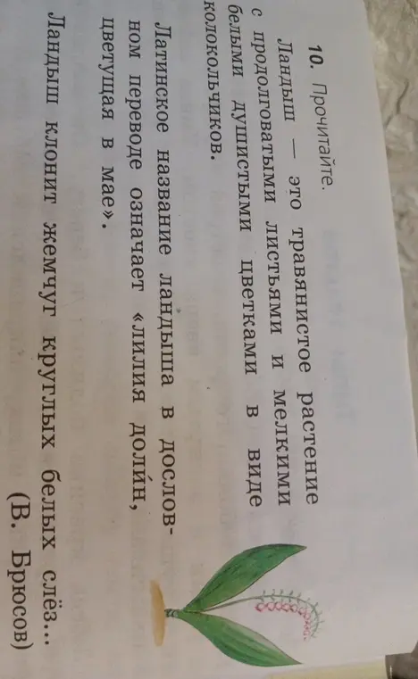 Прочитай текст про ландыш