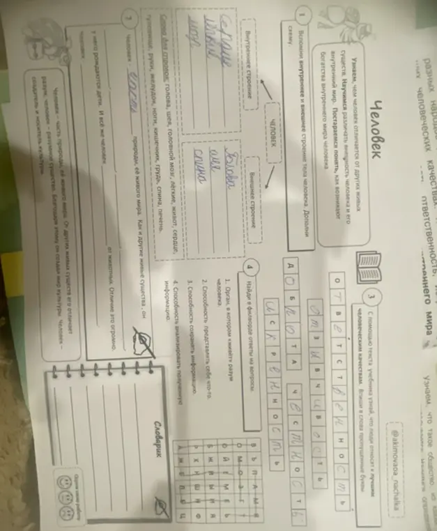 Заполни пропуски в схеме о строении тела человека, в задании про человеческие качества, в задании про отличия человека от животных, и найди ответы в филворде.
