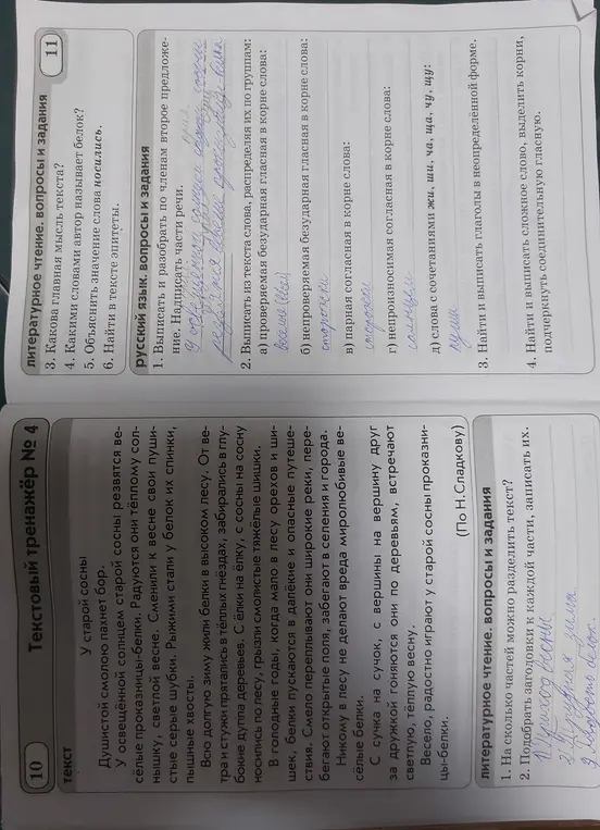 Выпиши и разбери по членам второе предложение