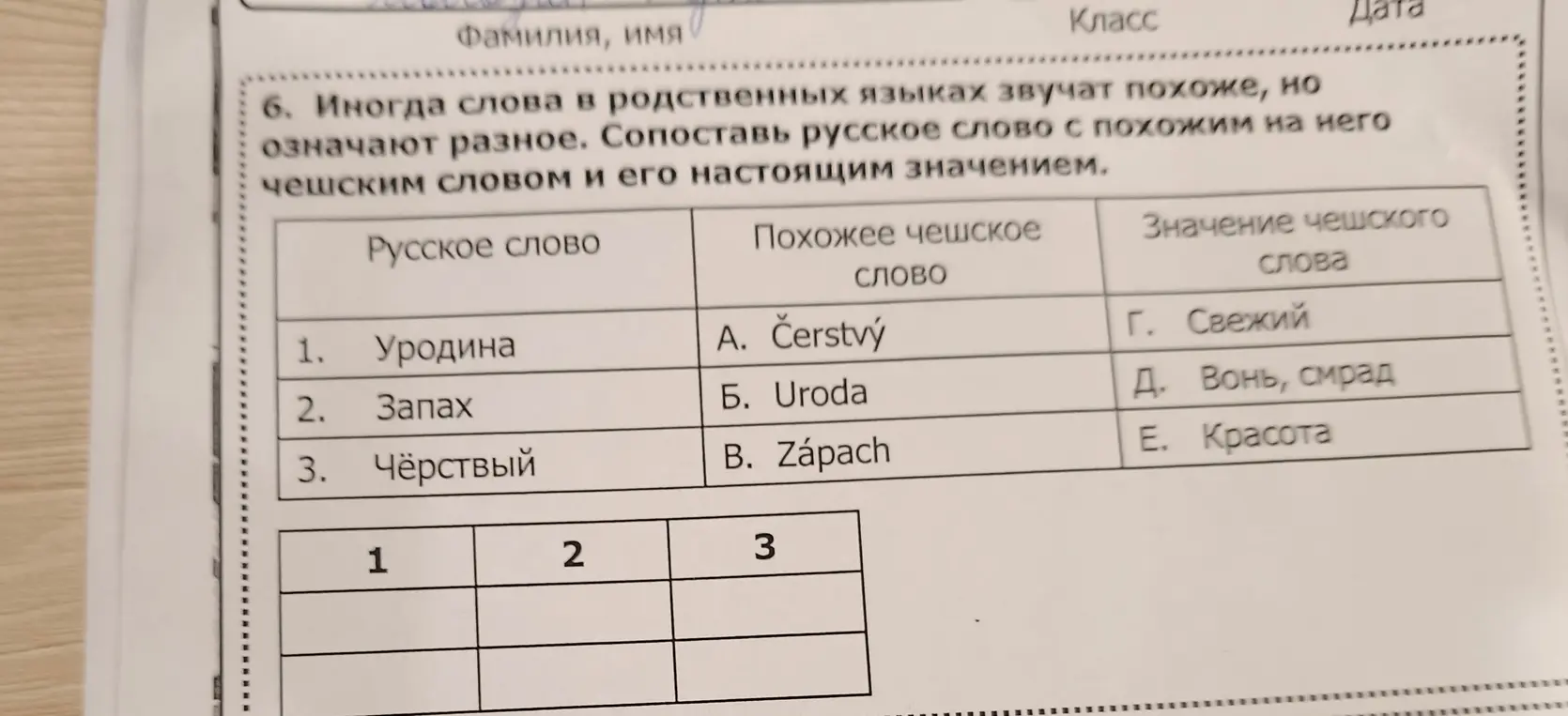 Сопоставь русское слово с похожим на него чешским словом и его настоящим значением в задании про слова в родственных языках, которые звучат похоже, но означают разное