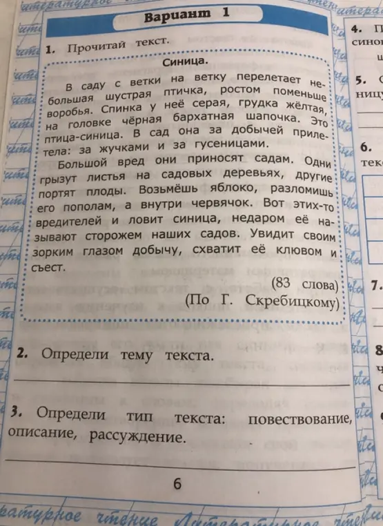 Определи тему текста.