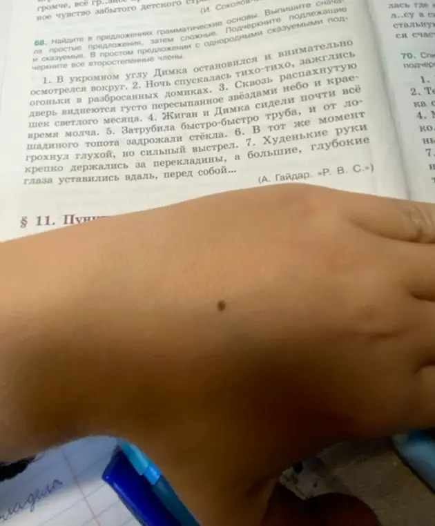 Ты просишь найти грамматические основы в предложениях, разделить их на простые и сложные, подчеркнуть подлежащее и сказуемое.