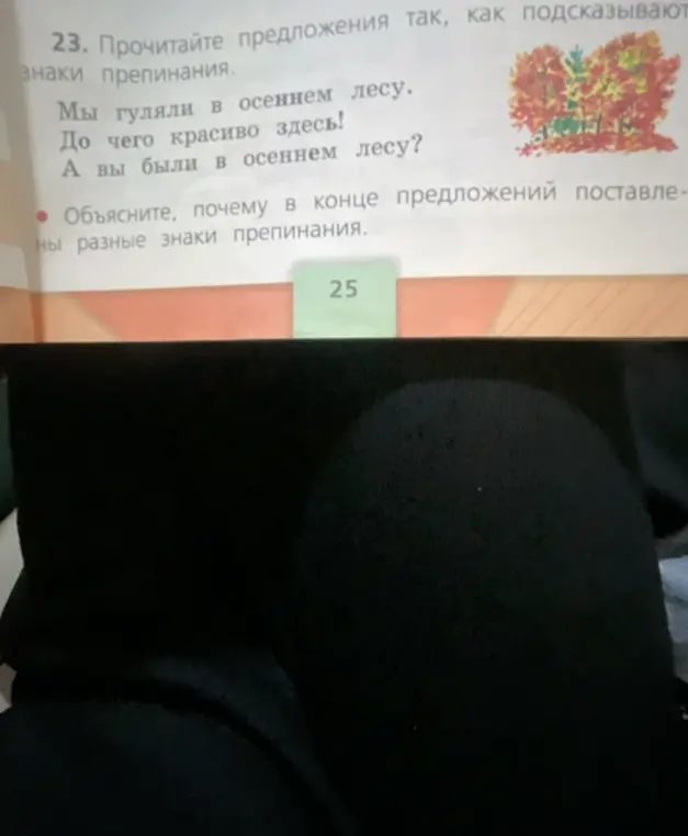 Объясни, почему в конце предложений поставлены разные знаки препинания.