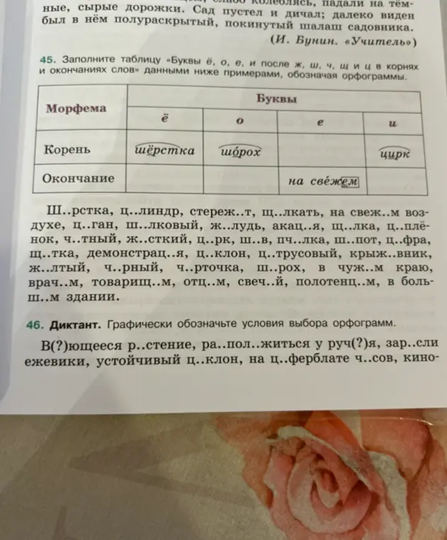 Заполни таблицу «Буквы ё, о, е, и после ж, ш, ч, щиц в корнях и окончаниях слов» данными ниже примерами, обозначая орфограммы.