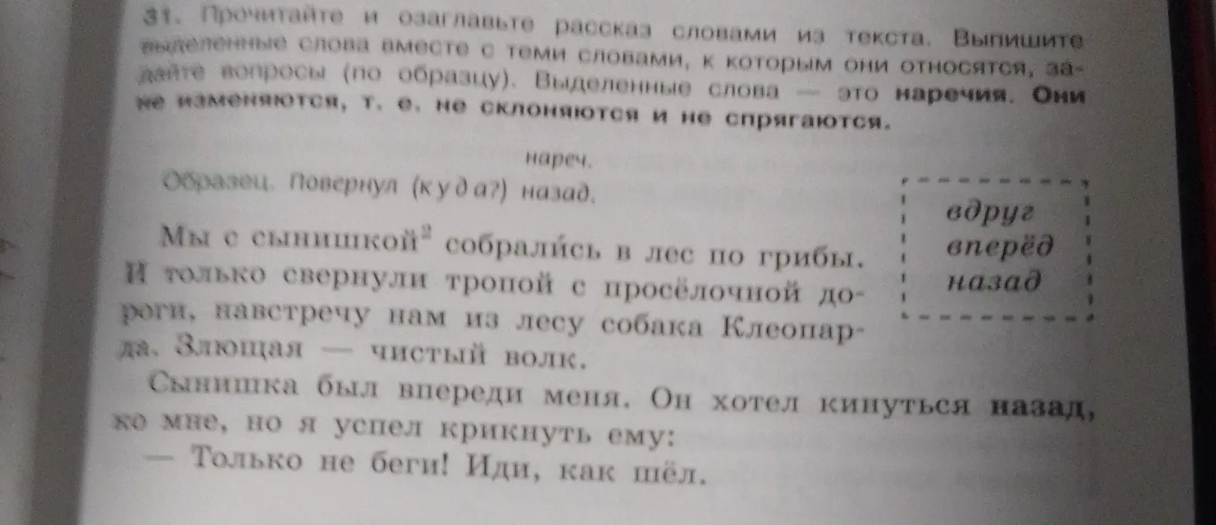 Выпиши выделенные слова вместе с теми словами, к которым они относятся, задай вопросы (по образцу)