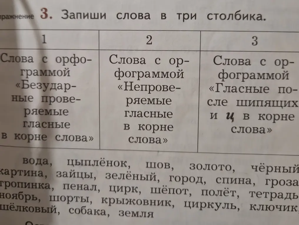 Разложи слова по трём столбикам в зависимости от типа орфограммы