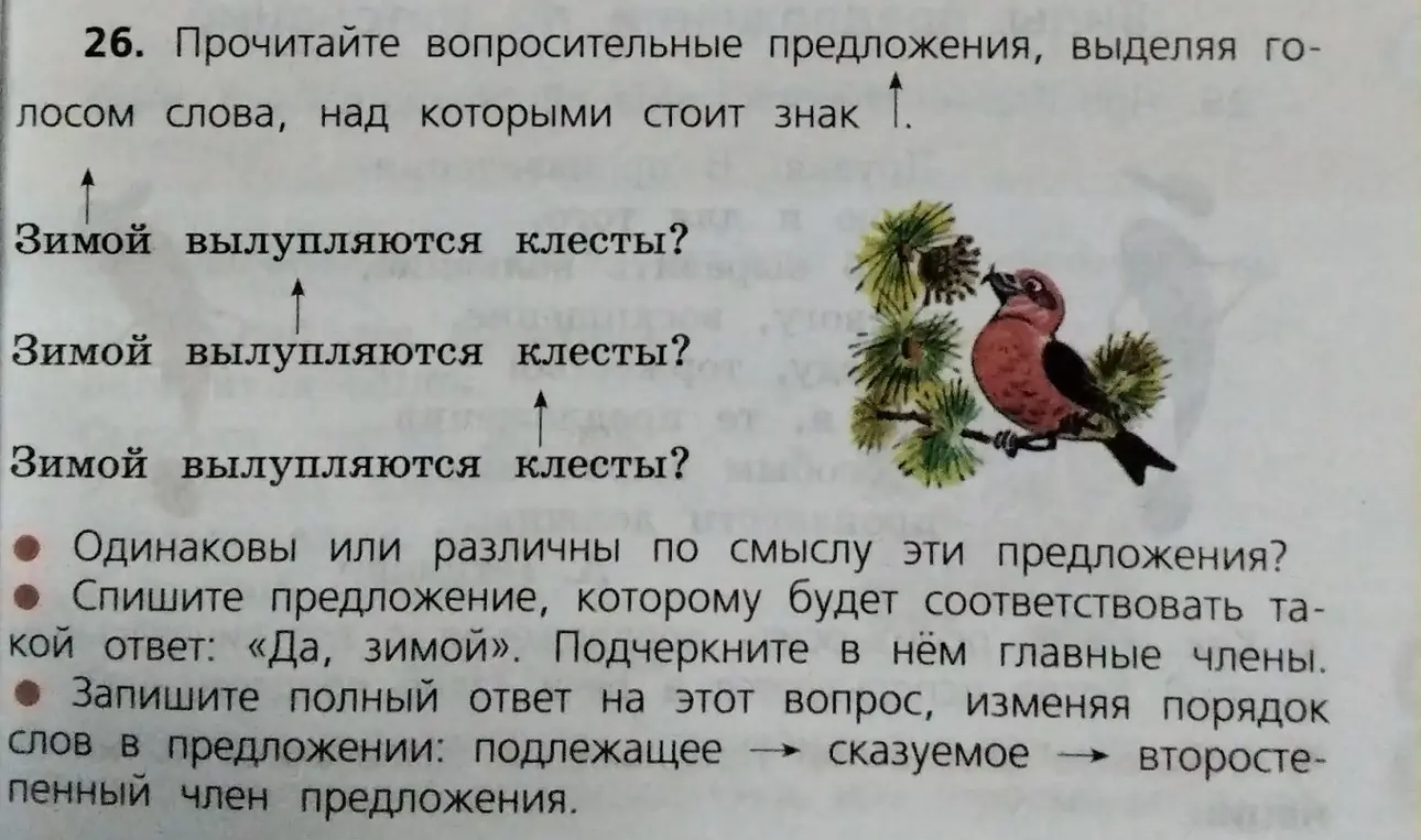 Объясни, в чём разница между вопросительными предложениями «Зимой вылупляются клесты?», в которых выделены голосом разные слова, а также как записать полный ответ на вопрос, изменив порядок слов.