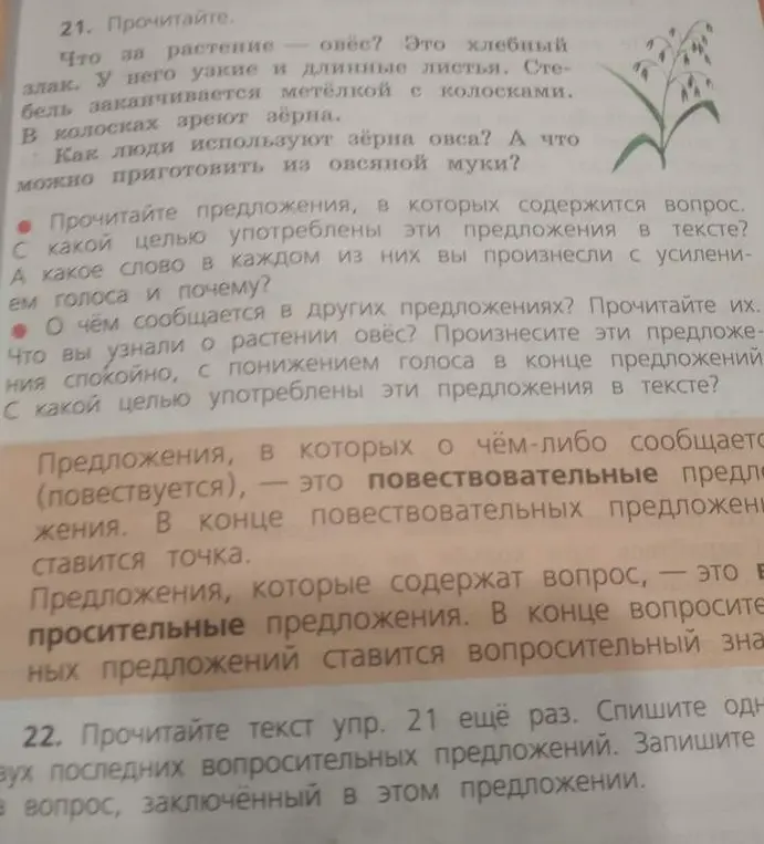 Прочитай текст упр. 21 ещё раз и спиши два последних вопросительных предложения. Запиши вопрос, заключённый в этом предложении.
