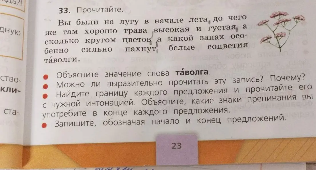 Объясни значение слова таволга
