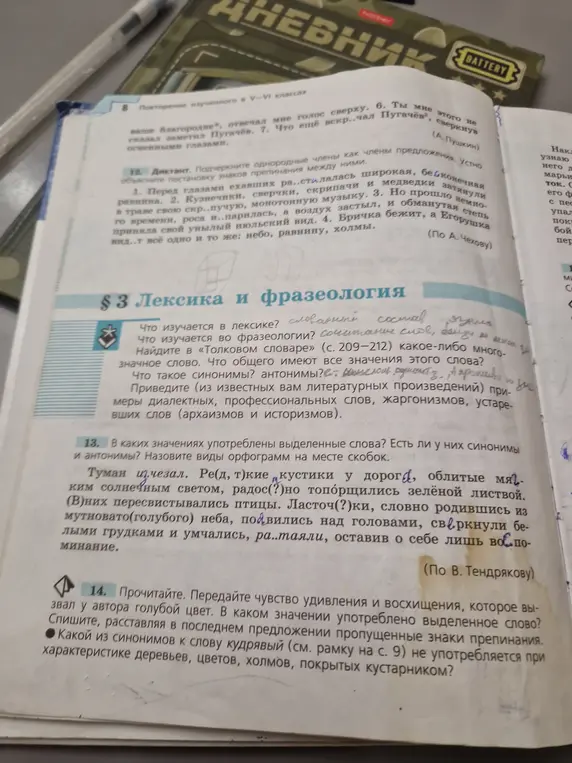 В каких значениях употреблены выделенные слова в упражнении 13?
