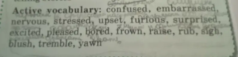 Сделай предложения с каждым словом: confused, embarrassed, nervous, stressed, upset, furious, surprised, excited, pleased, bored, frown, raise, rub, sigh, blush, tremble, yawn