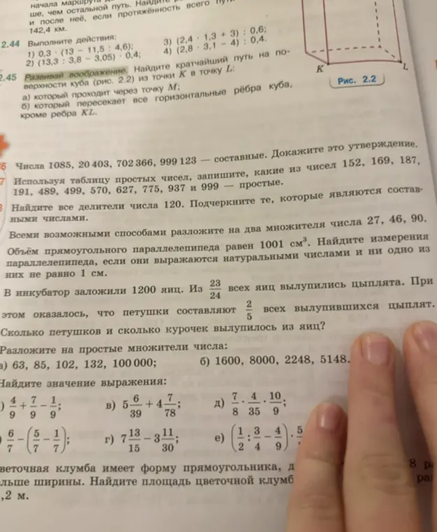 Ты можешь решить задачу: 'В инкубатор заложили 1200 яиц. Из 23/24 всех яиц вылупились цыплята. При этом оказалось, что петушки составляют 2/5 всех вылупившихся цыплят. Сколько петушков и сколько курочек вылупилось из яиц?'