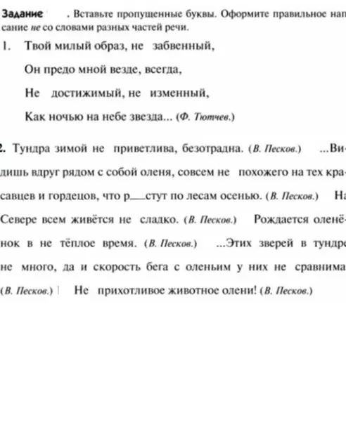 Вставь пропущенные буквы в предложении 'Тундра зимой не приветлива, безотрадна...'