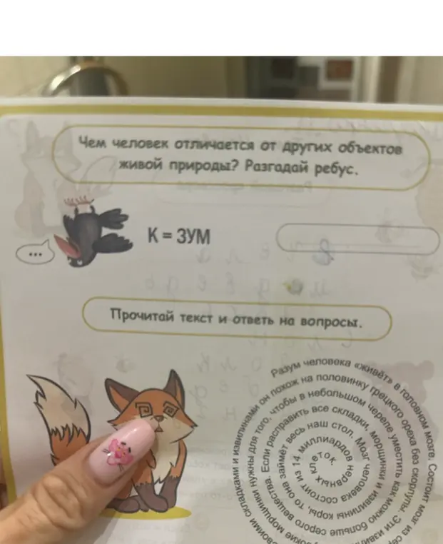 Ты просишь разгадать ребус "К = ЗУМ"