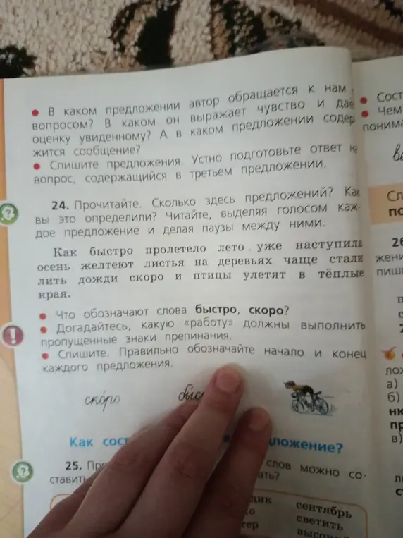 Как определить, сколько предложений в тексте упражнения 24 и какие знаки препинания нужно вставить?