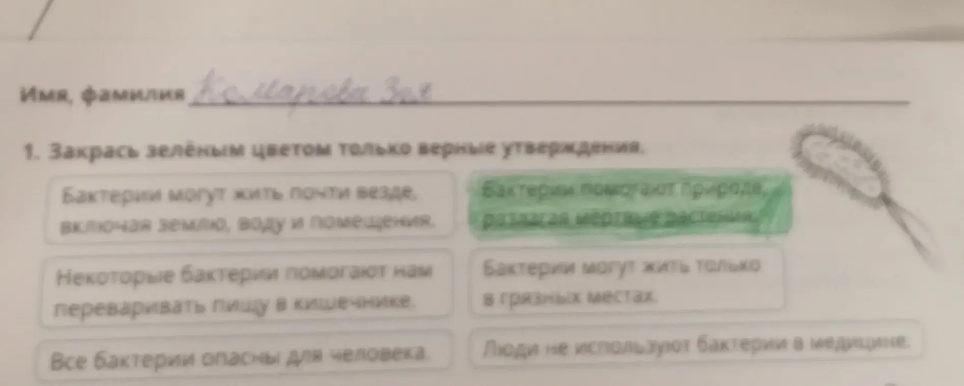 Помоги мне определить, какие утверждения о бактериях нужно закрасить зелёным цветом