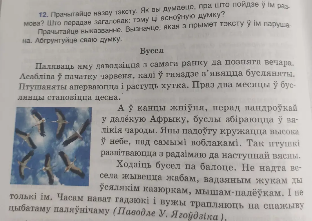 Можешь ли ты объяснить, что передает заголовок текста 'Бусел': тему или основную мысль?