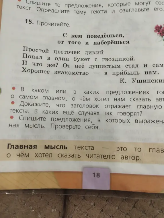 В каком или в каких предложениях говорится о самом главном, о чём хотел сказать автор?