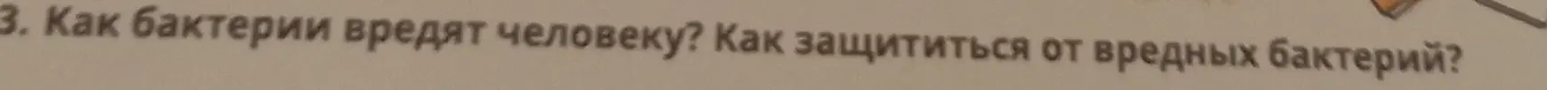 Как бактерии вредят человеку и как от них защититься?