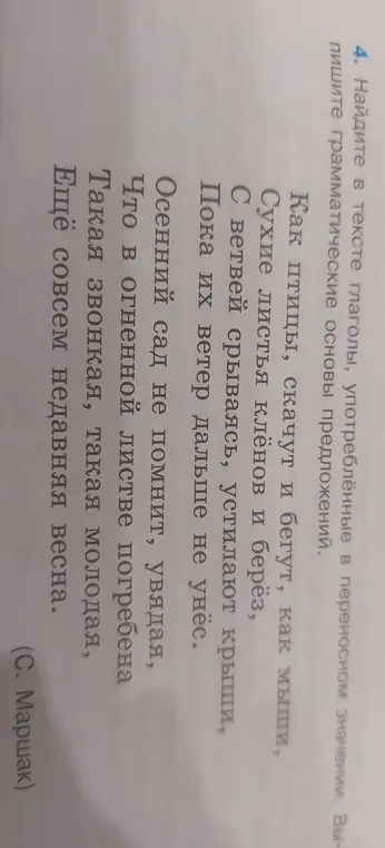 Найди в тексте глаголы, употреблённые в переносном значении и выпиши грамматические основы предложений.