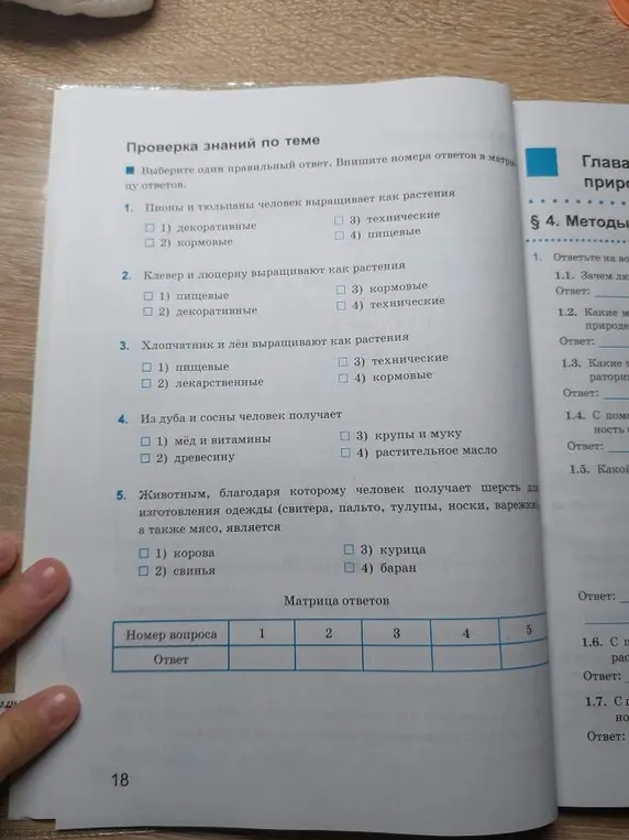 Выбери правильный ответ на вопрос: 'Пионы и тюльпаны человек выращивает как растения'