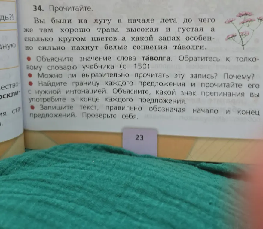 Ты просишь объяснить значение слова таволга, определить границы предложений и знаки препинания, а также записать текст с правильным оформлением.
