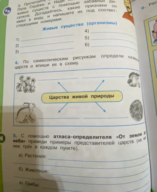 Определи названия царств и впиши их в схему и приведи примеры представителей царств (не менее трёх в каждом пункте)