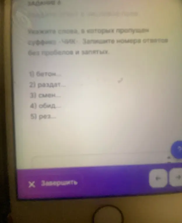 Укажи слова, в которых пропущен суффикс «-ЧИК»