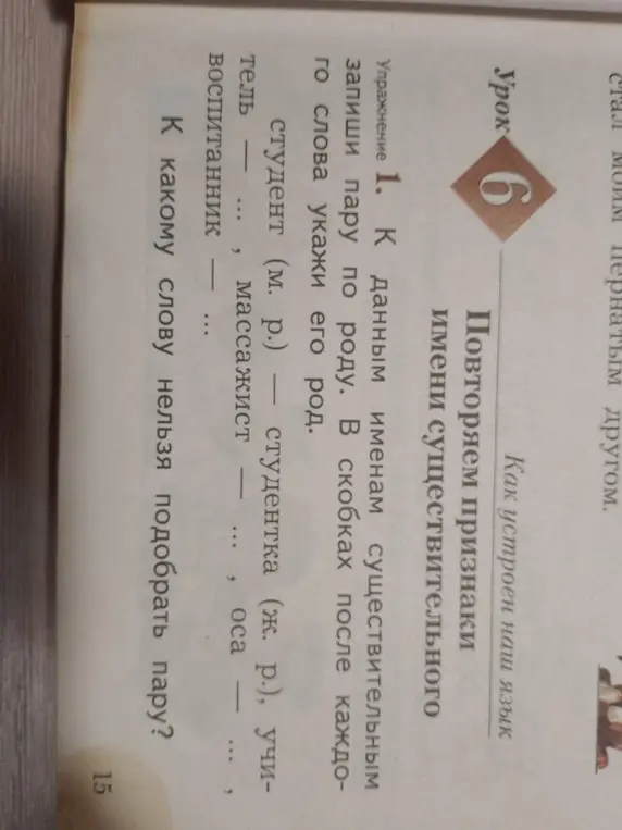 К данным именам существительным запиши пару по роду
